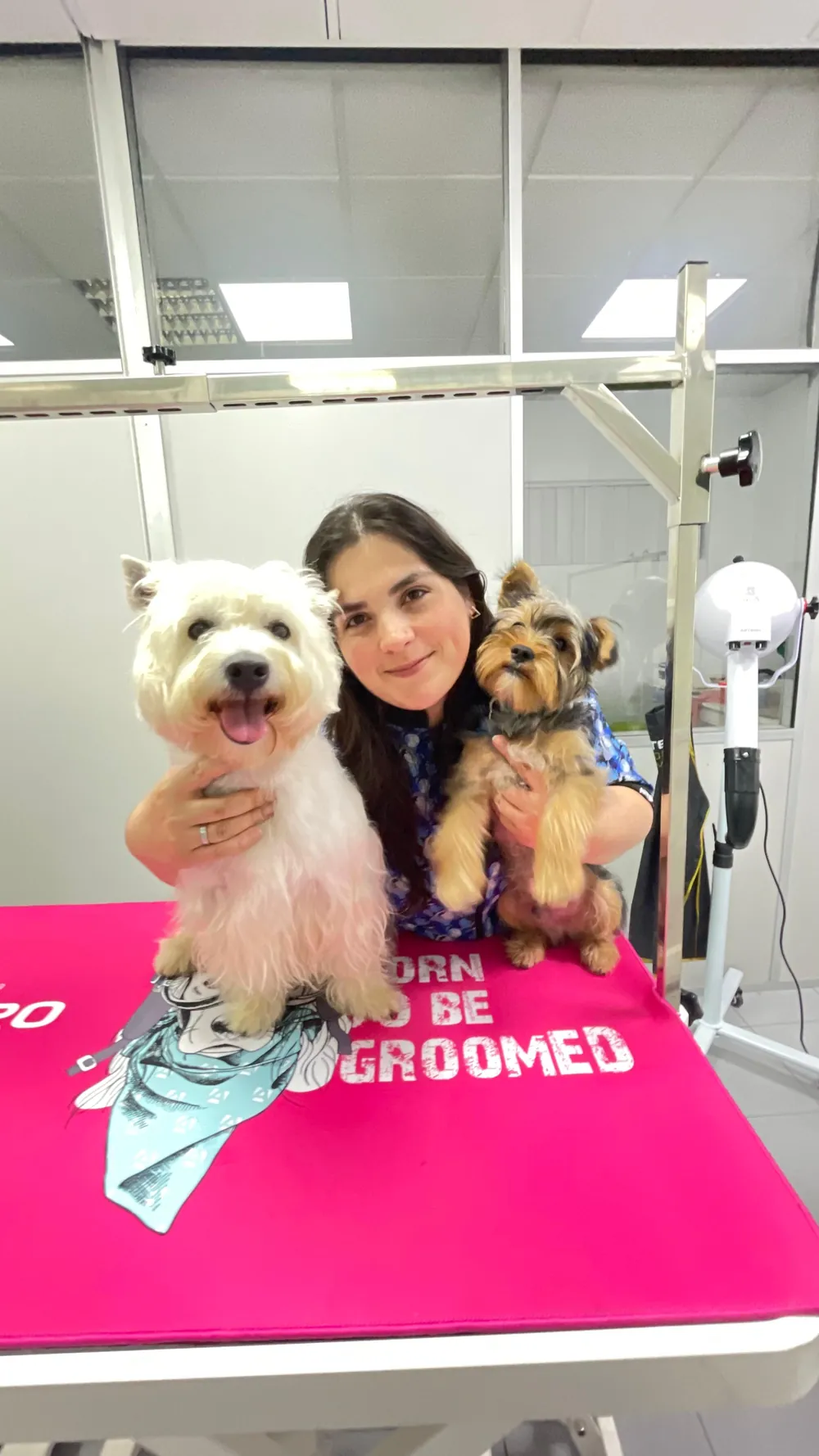Joana — DogsClub
