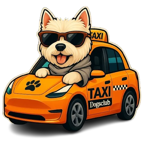 Serviço de Pet Táxi DogsClub